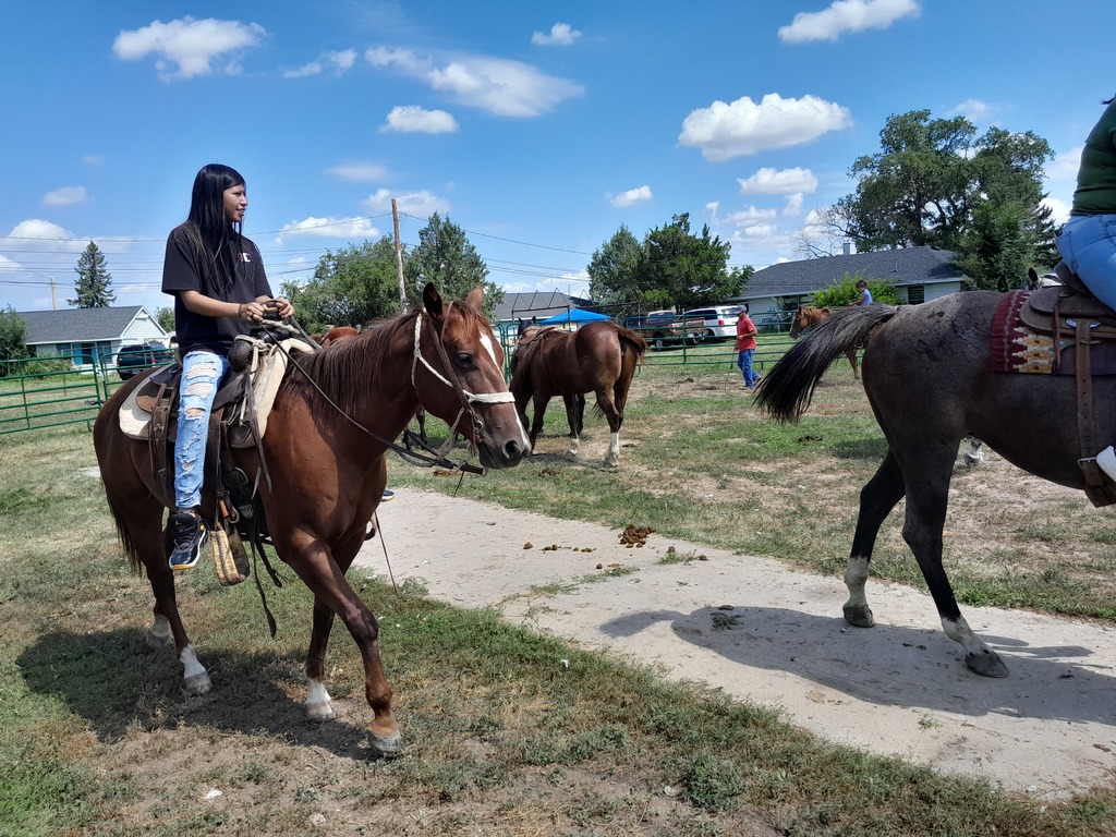 Horse Camp
