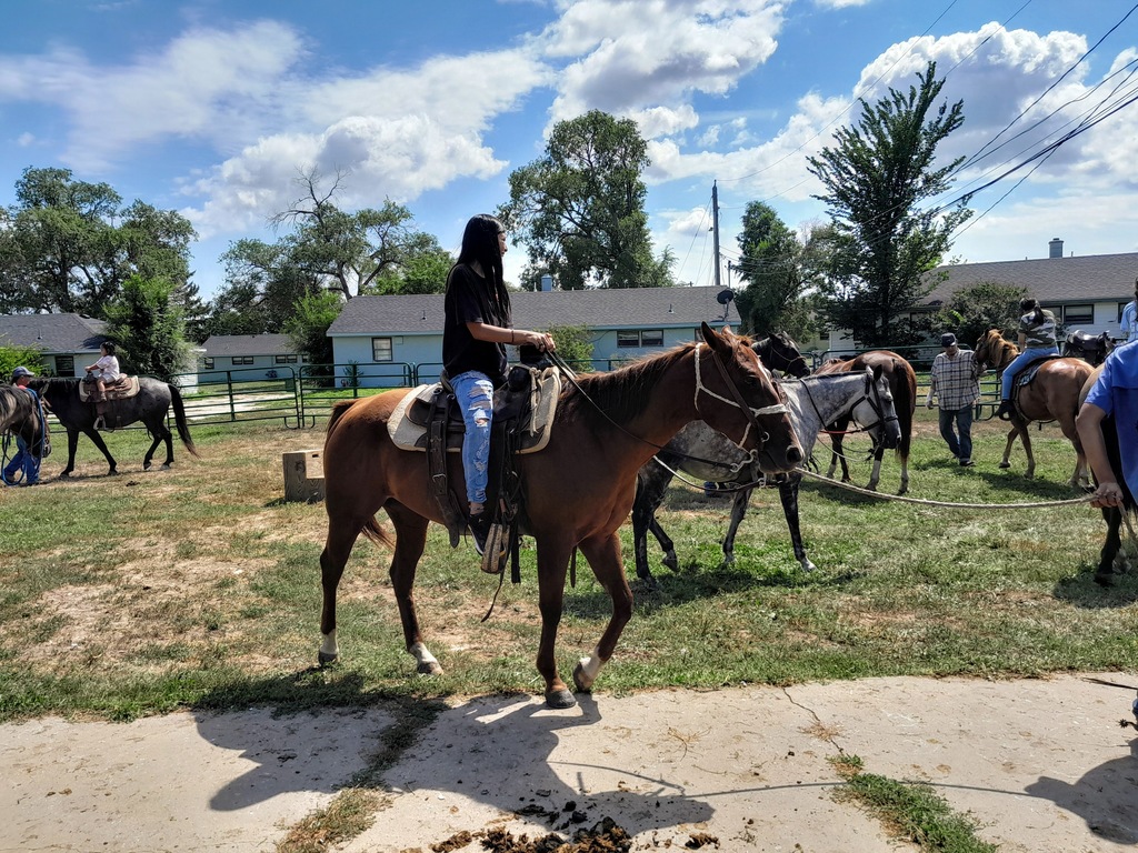 Horse Camp