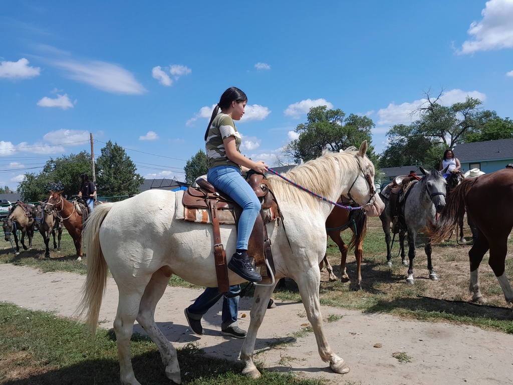 Horse Camp