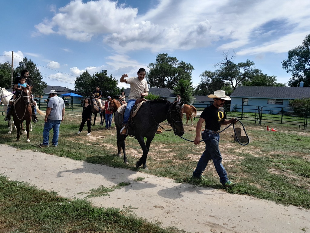 Horse Camp