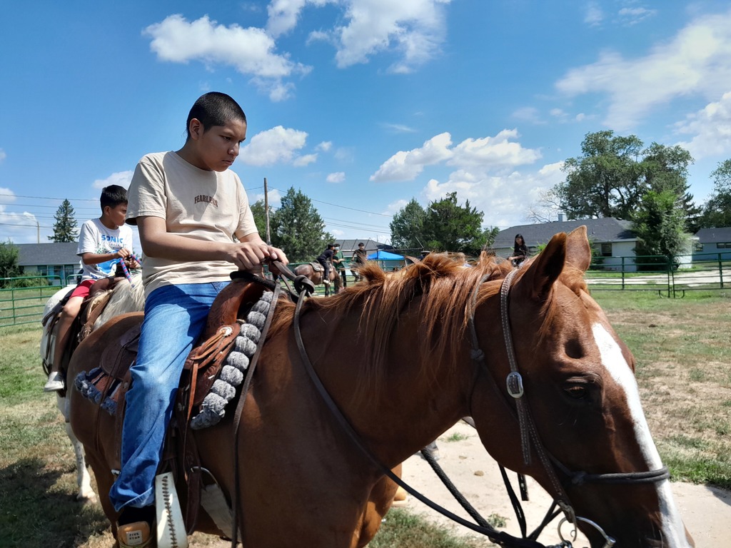 Horse Camp