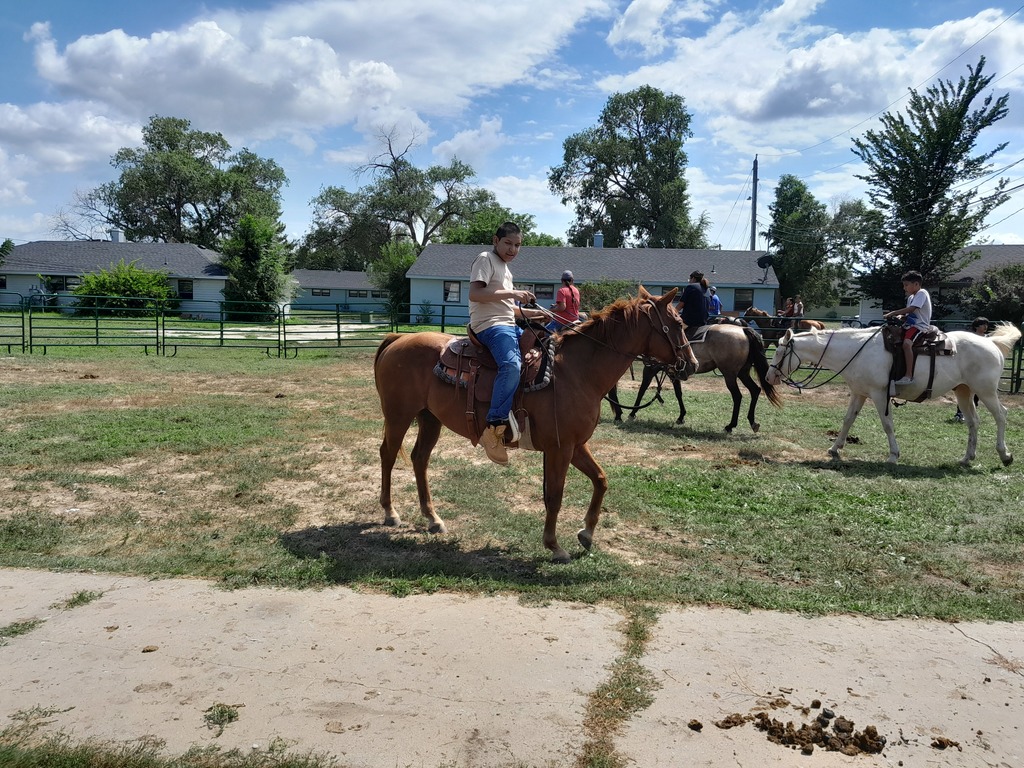 Horse Camp