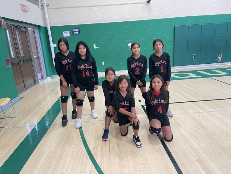 VB