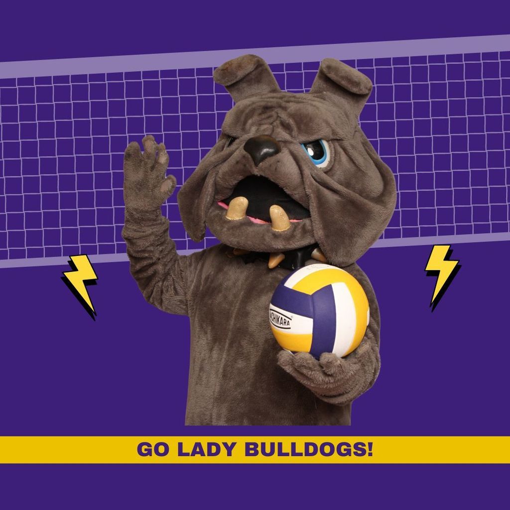 VB Tournament