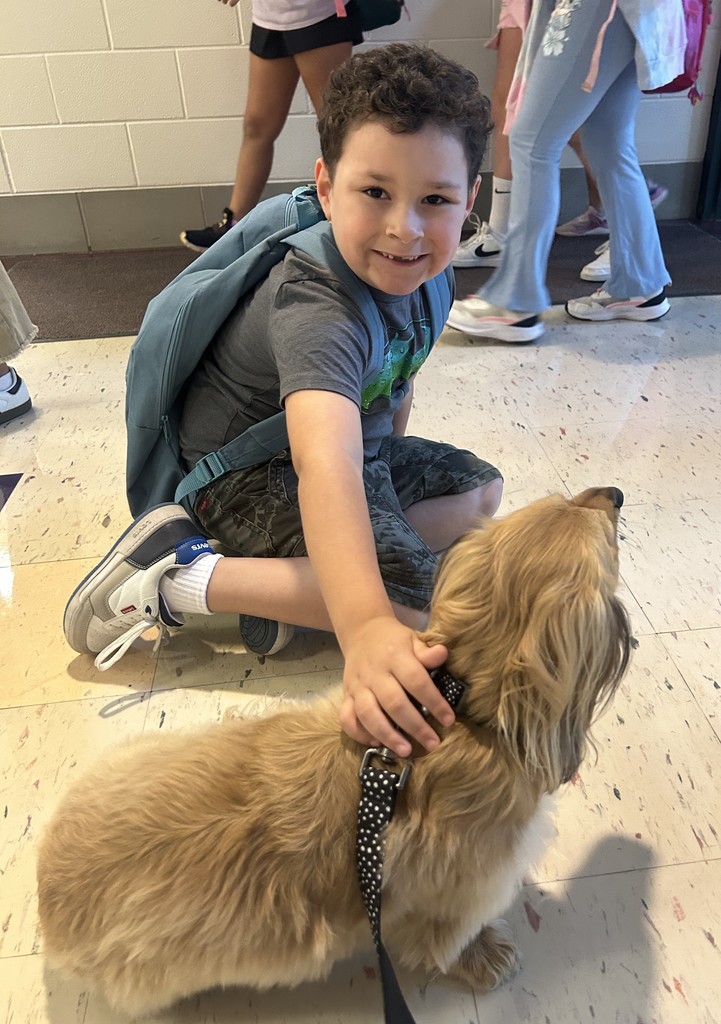 Marnie Arrivals
