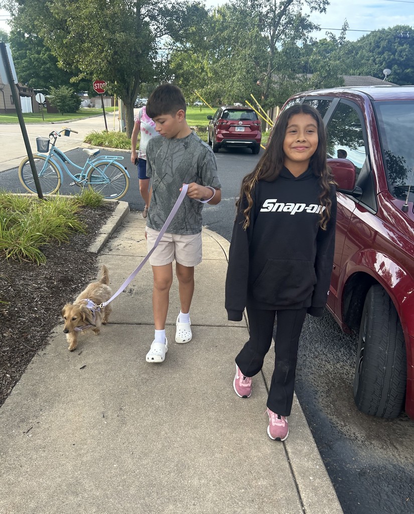 Marnie Daily Stroll