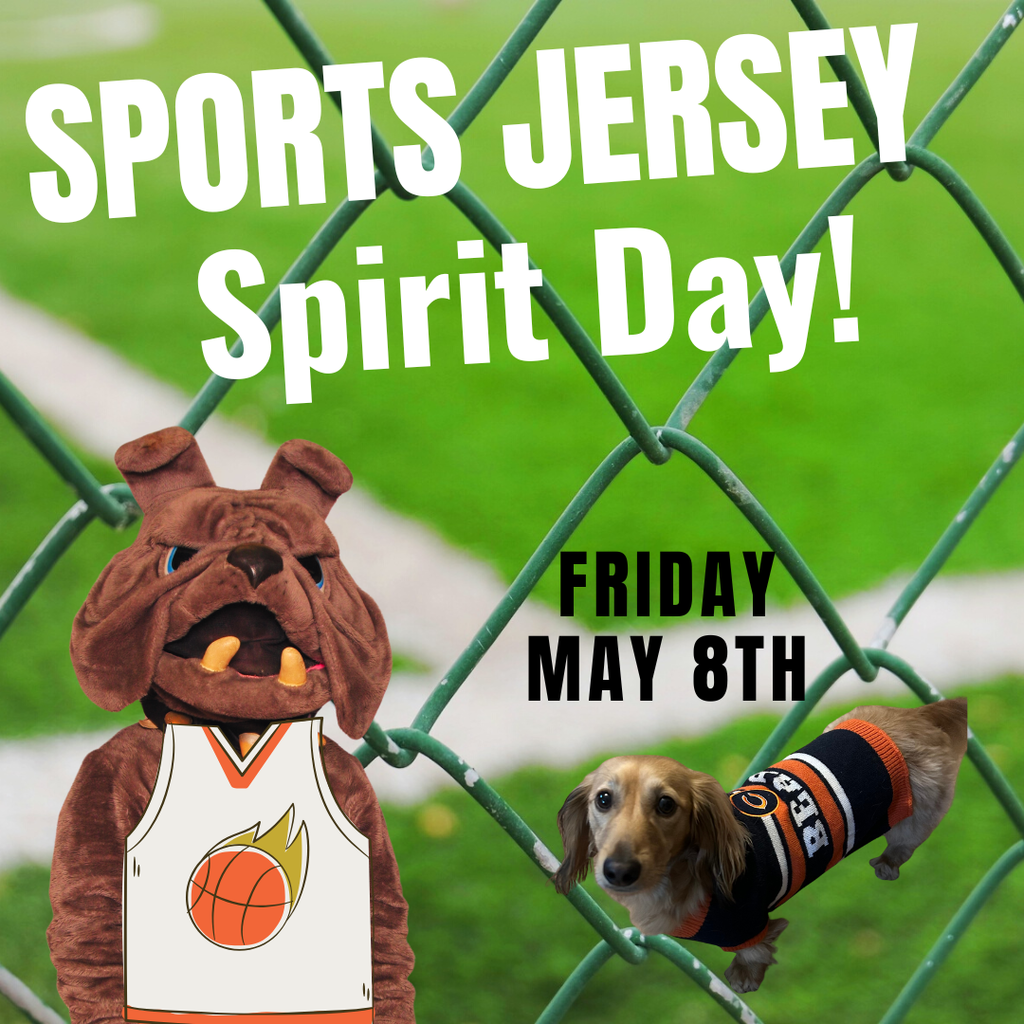 Sports Jersey Day