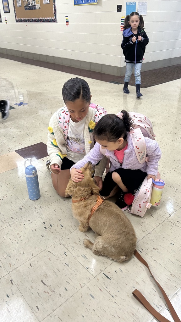 Marnie morning arrivals