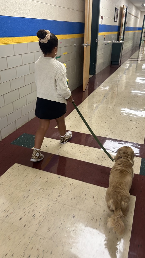 Marnie walks