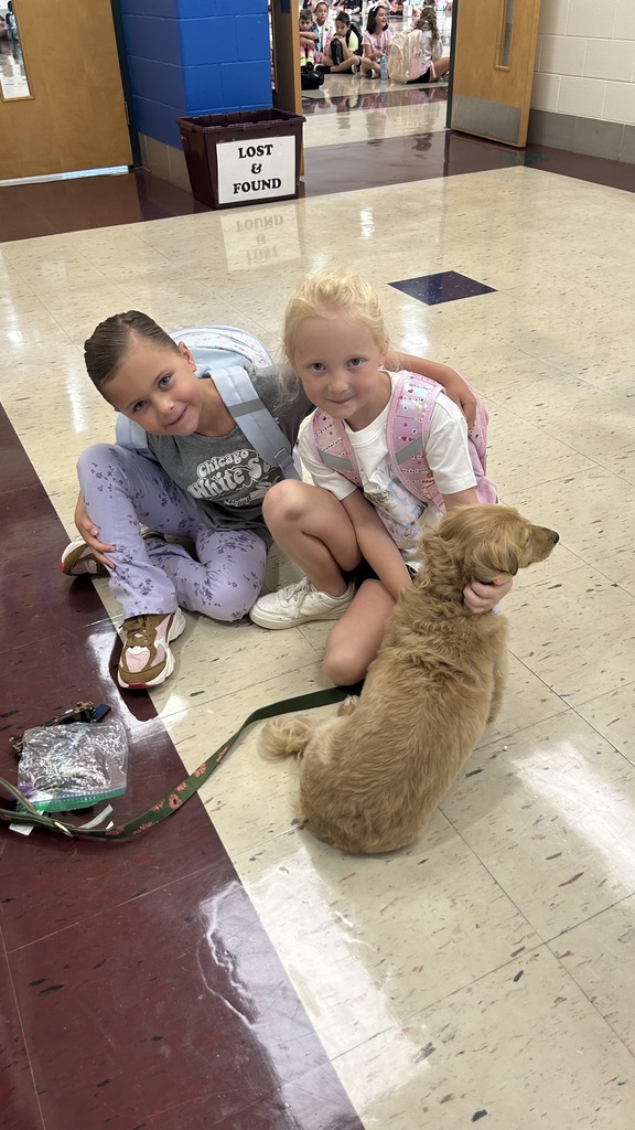 Marnie morning arrivals