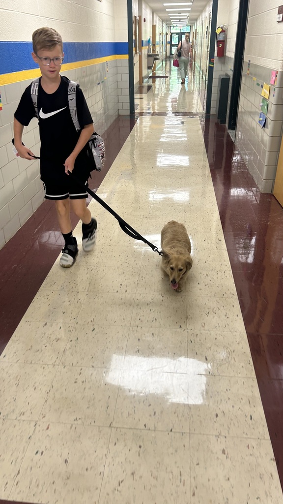 Marnie walks