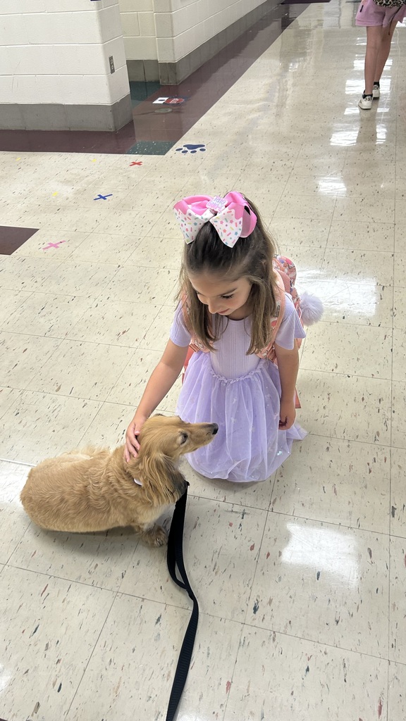 Marnie morning arrivals