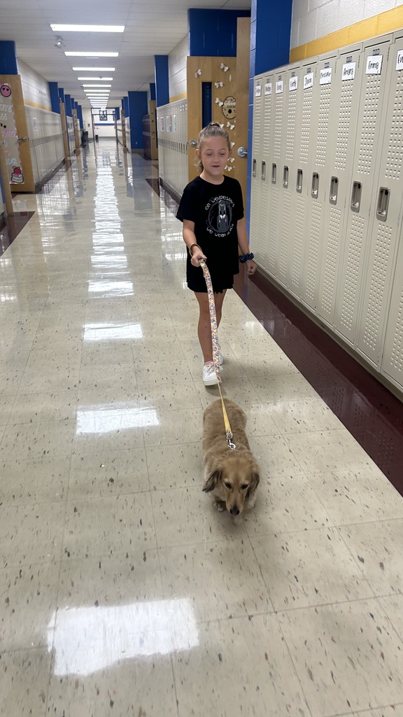 Marnie walks