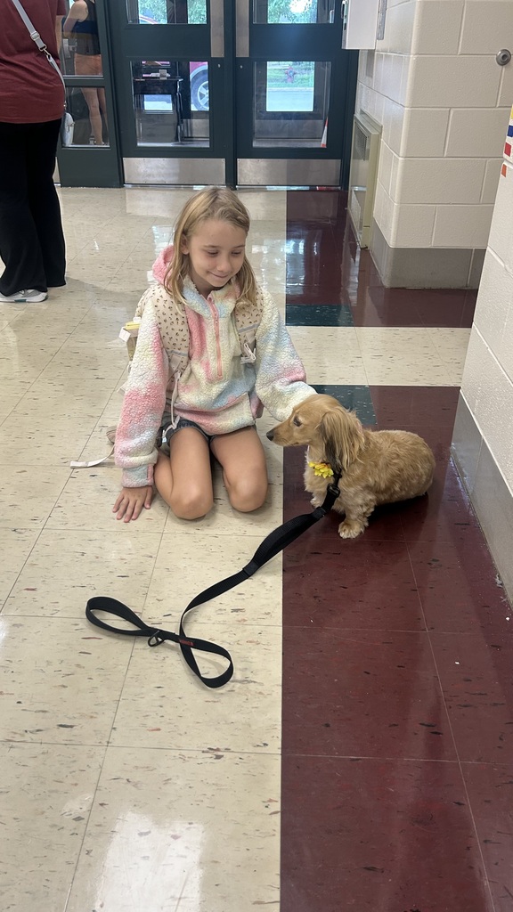 Marnie morning arrivals
