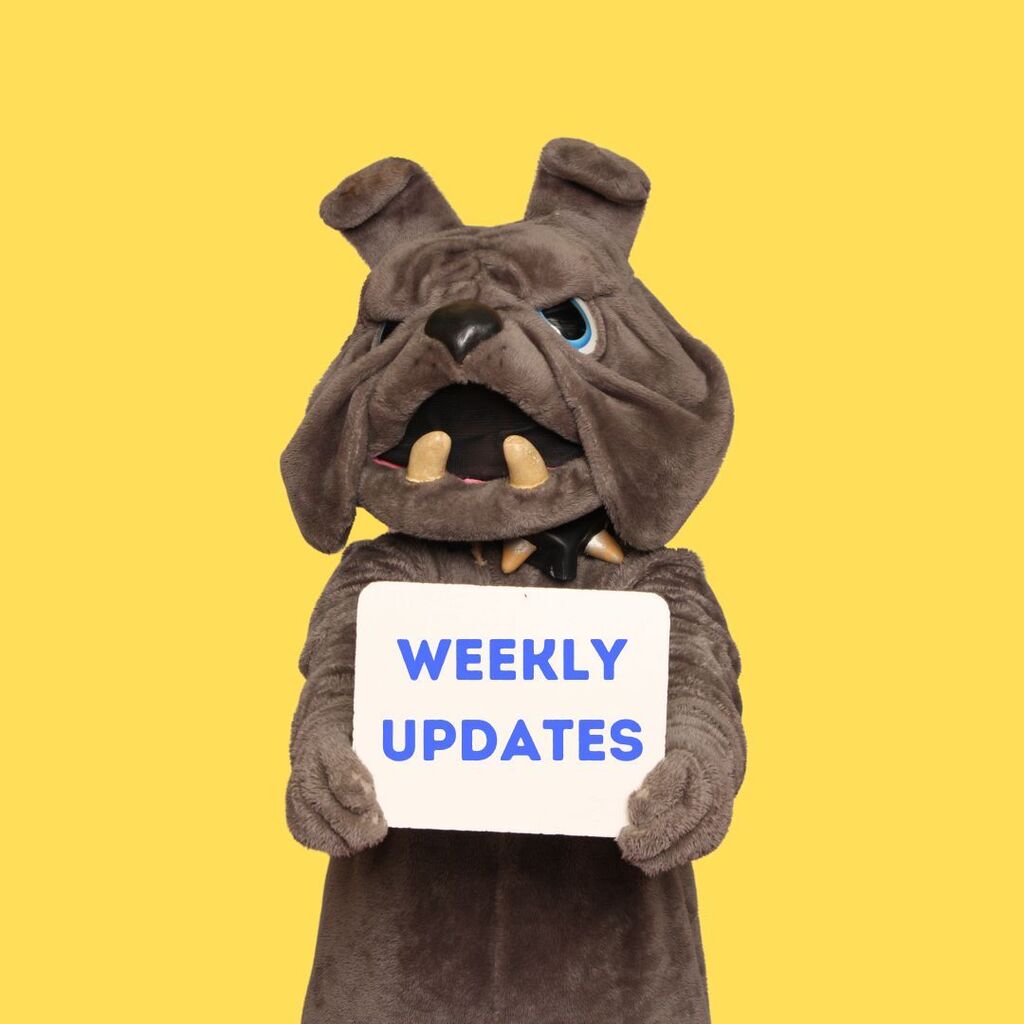 Weekly Updates