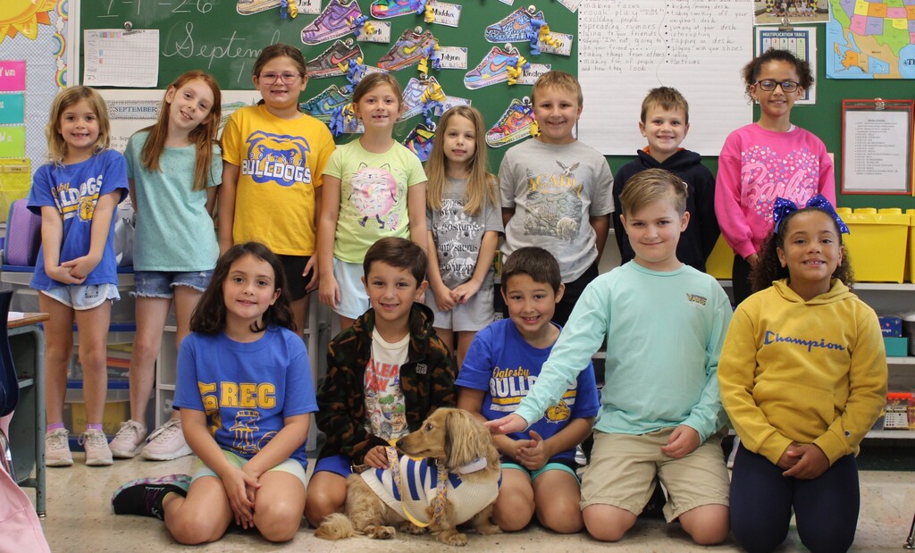 Blue and Gold Day