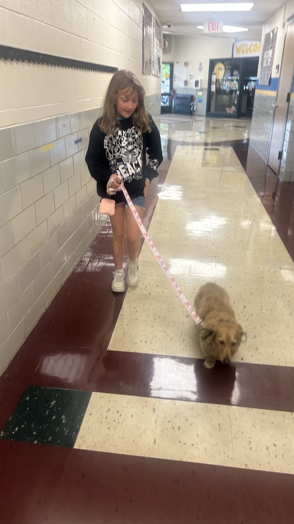 Marnie walks