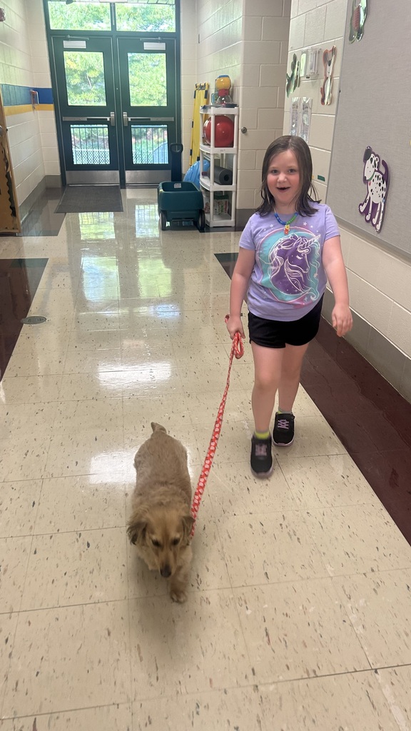Marnie walks