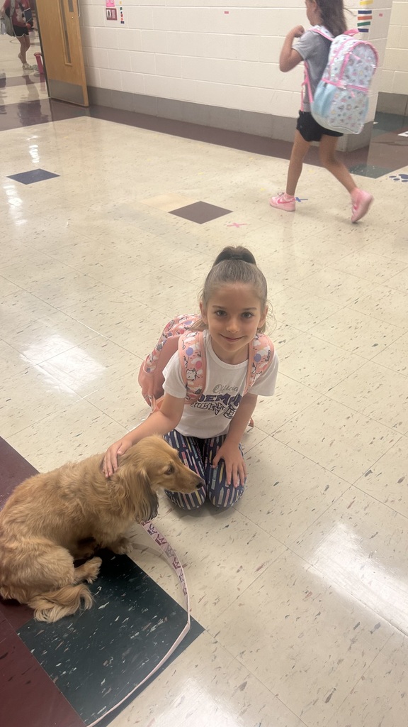 Marnie morning arrivals