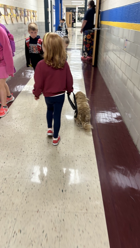 Marnie walks