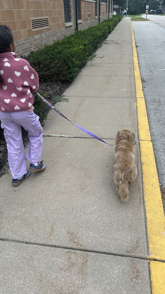 Marnie walks