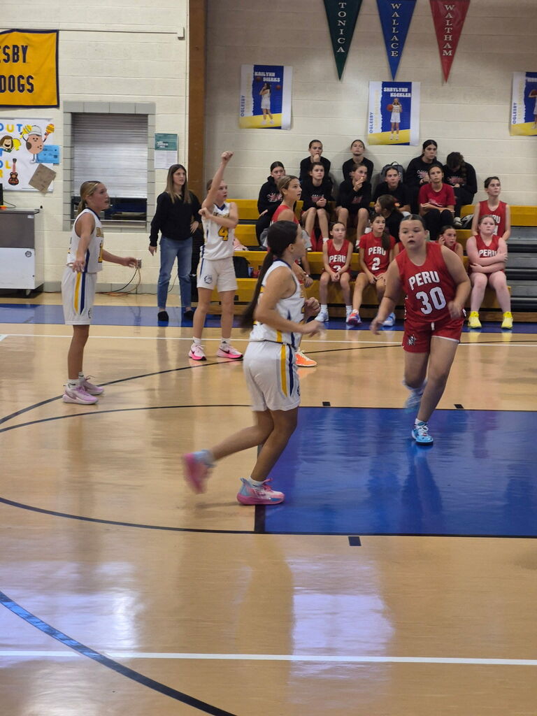 girls' basketball
