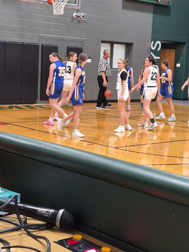 girls' basketball