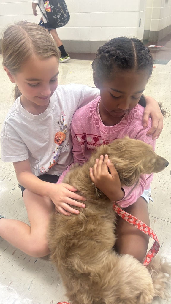 Marnie morning arrivals