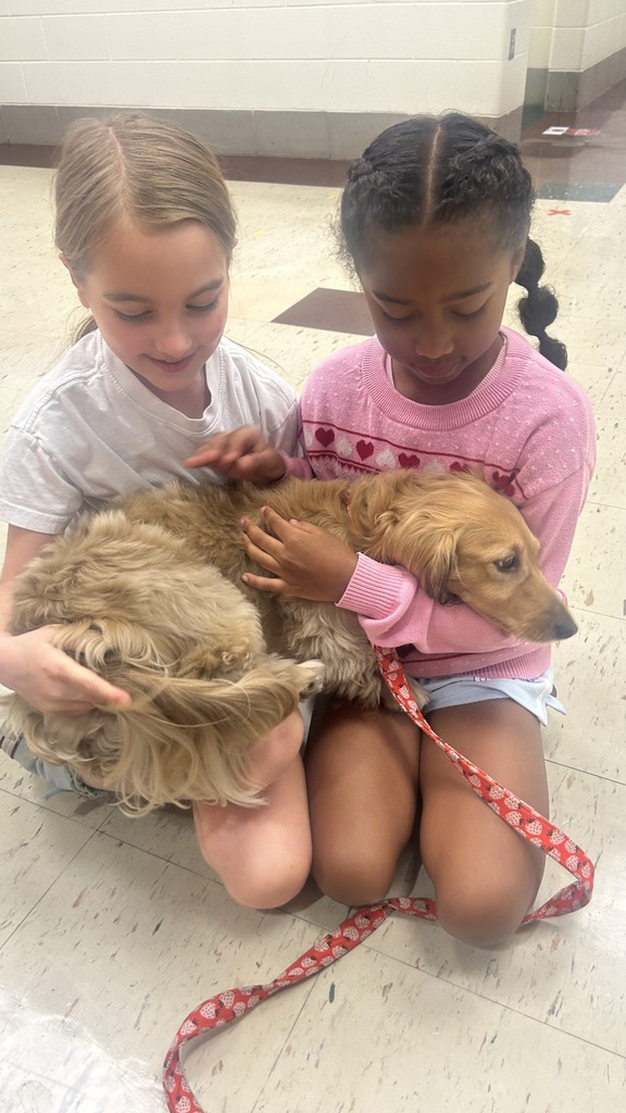 Marnie morning arrivals