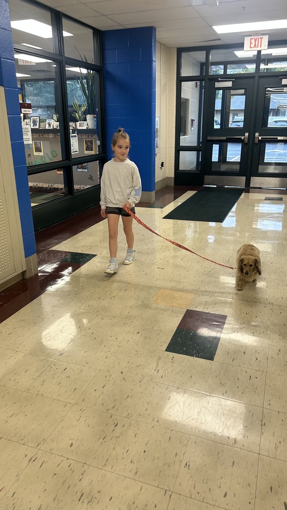 Marnie morning arrivals