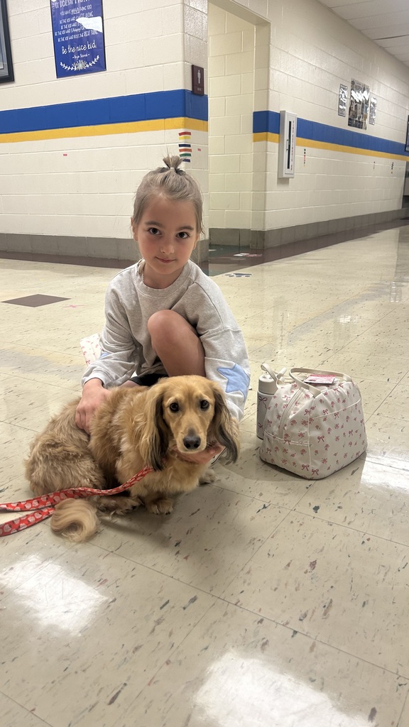 Marnie morning arrivals