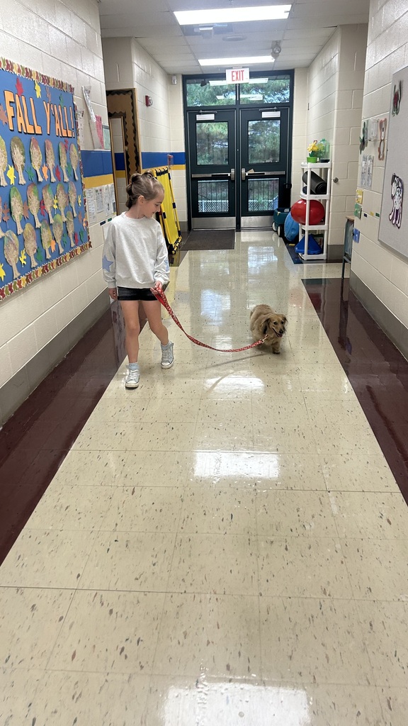 Marnie morning arrivals