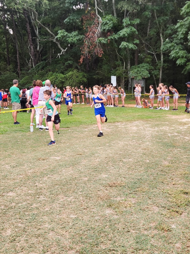 OCMS XC