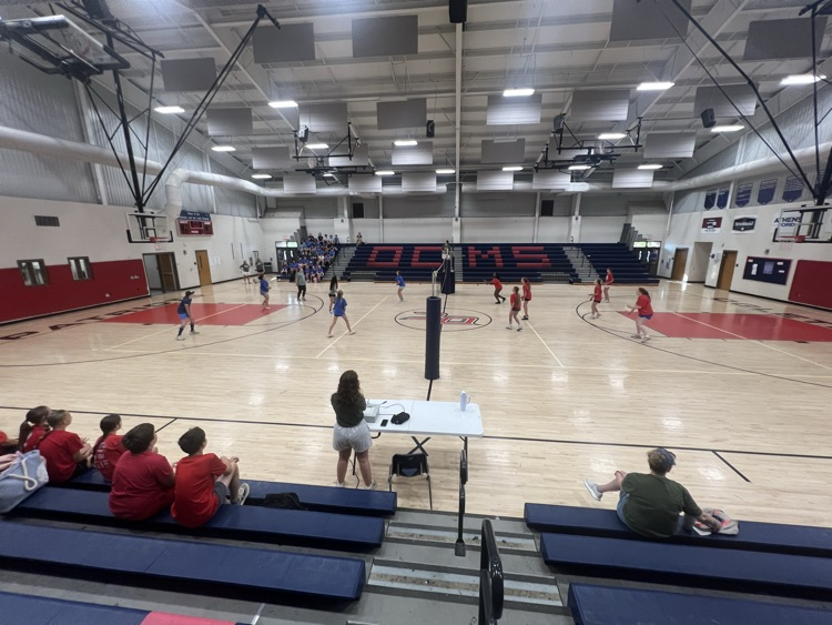 FIELD DAY
