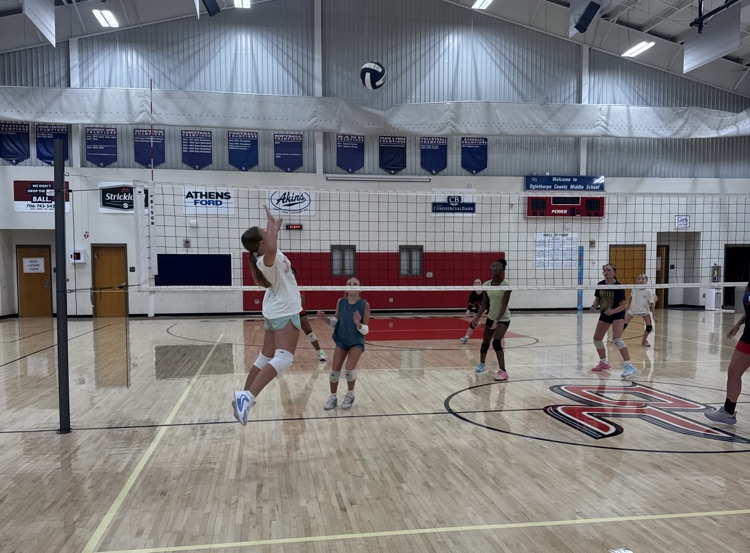VOLLEYBALL