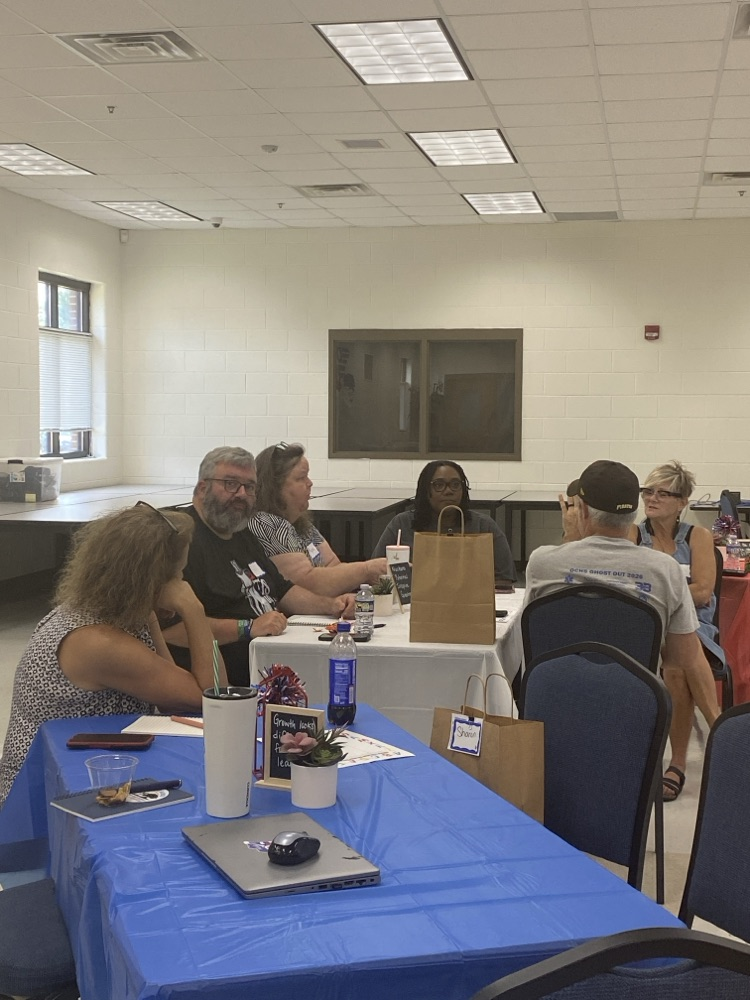 summer professional learning 
