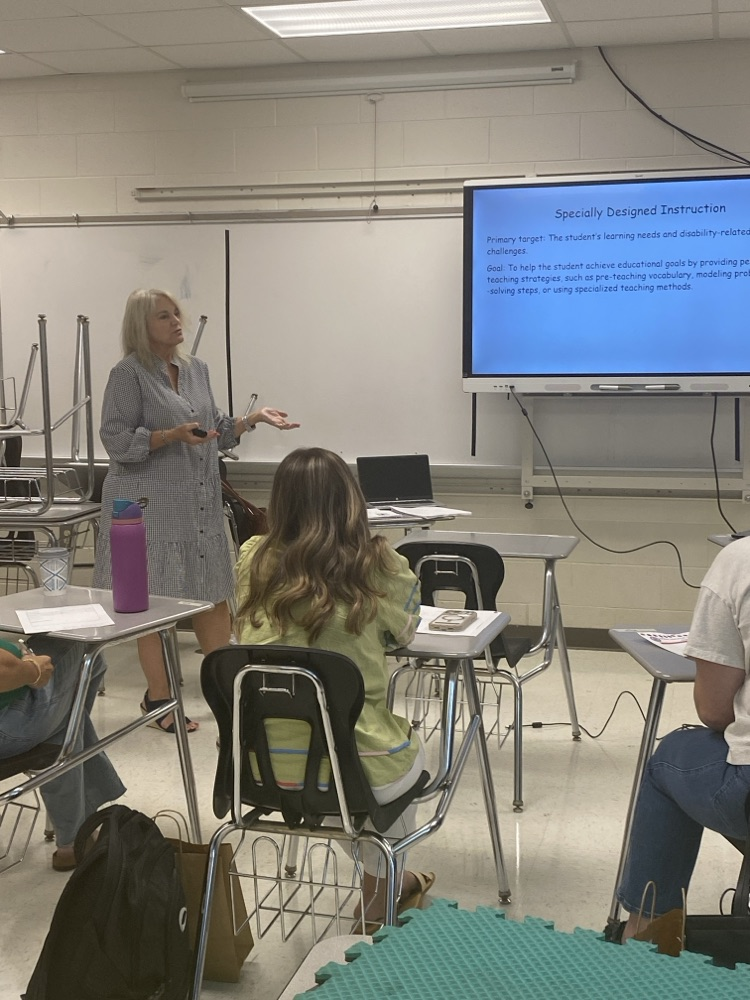 professional learning 