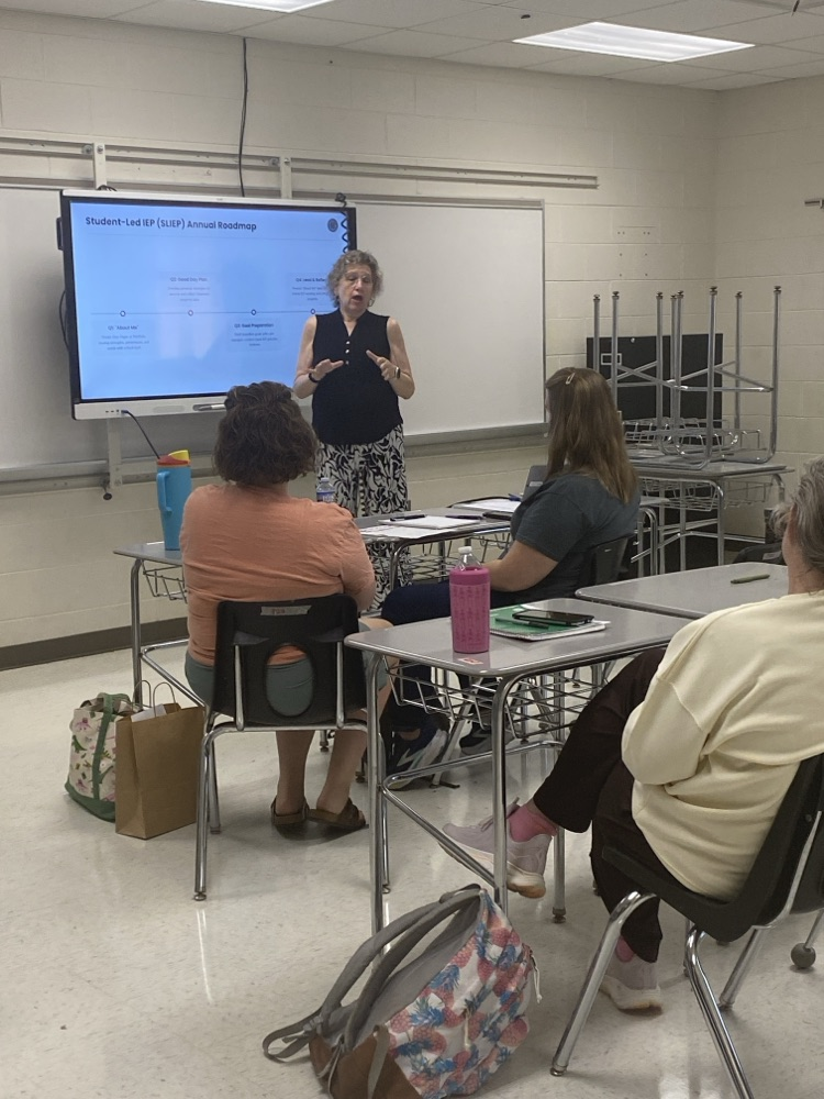 professional learning 