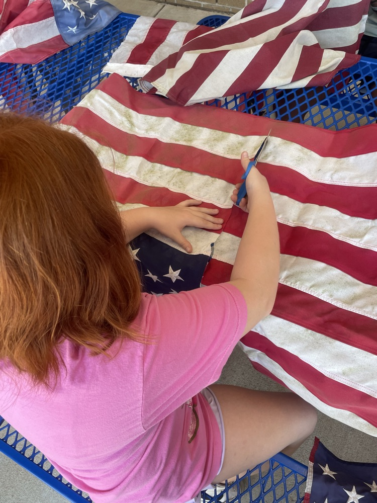 flag