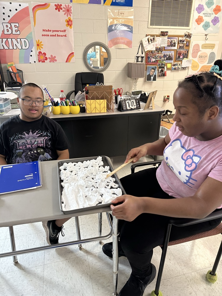Scientific Method in Denney’s class.