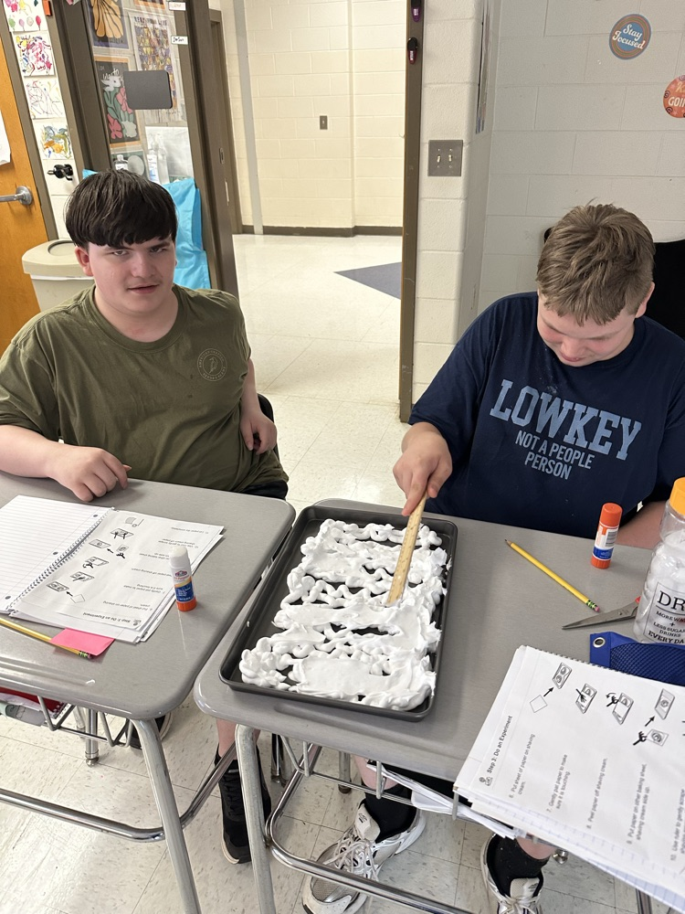 Scientific Method in Denney’s class.
