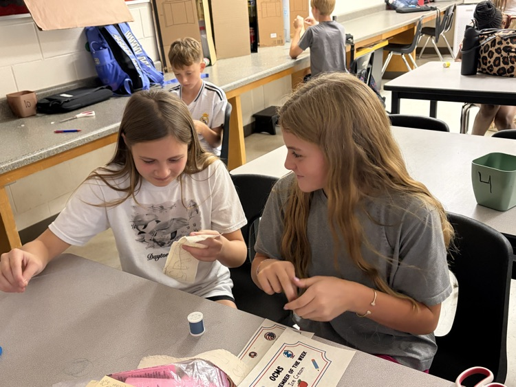 FACS Sewing