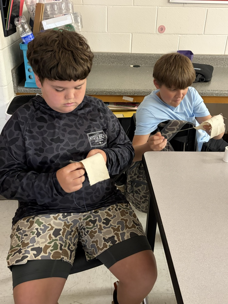 FACS Sewing