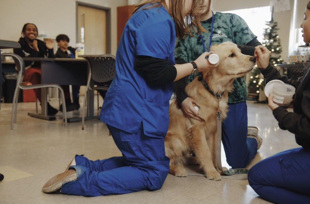 vet students with dog