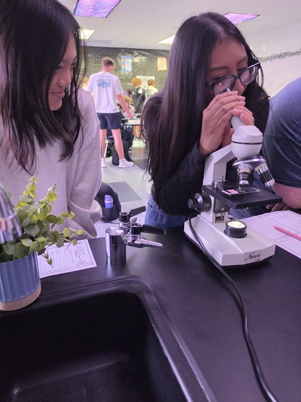 Hands-On Labs