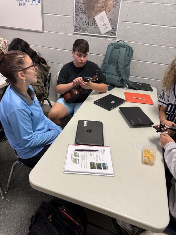 Ukulele Activity