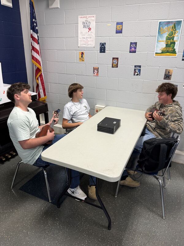 Ukulele Activity