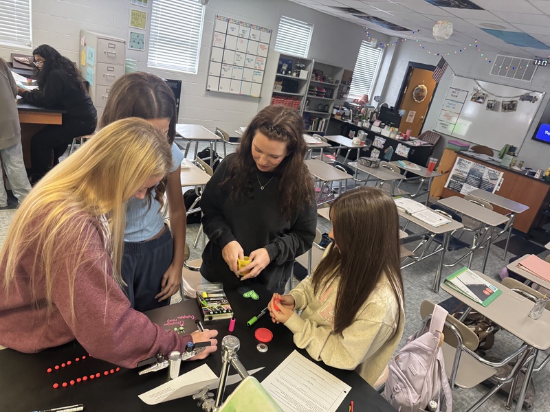 Models
