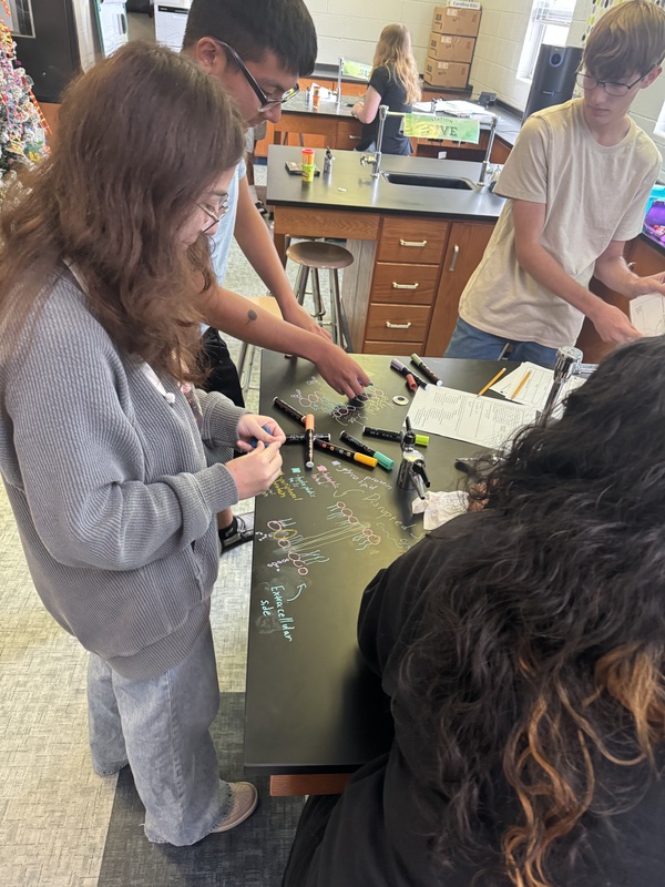 Cell Wall Models