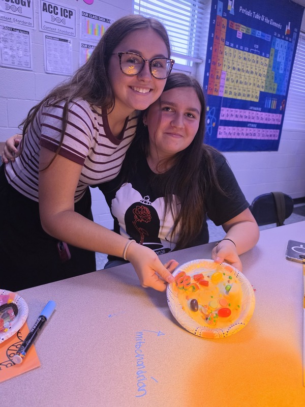 Candy Cells